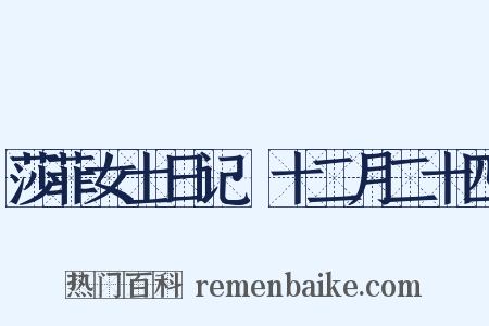 莎菲女士日记·十二月二十四是什么意思的图片